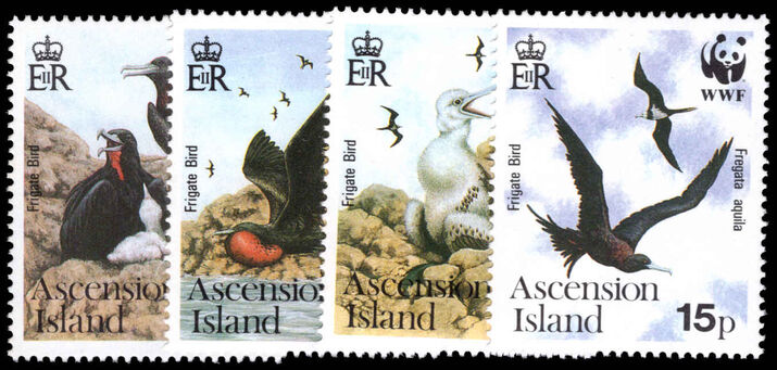 Ascension 1990 Endangered Species. Ascension Frigatebird unmounted mint.