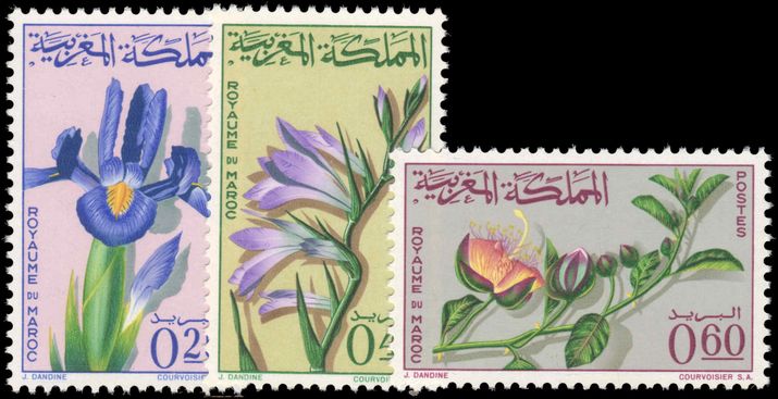 Morocco 1965 Flowers unmounted mint.