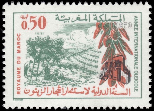 Morocco 1970 World Olive Year unmounted mint.