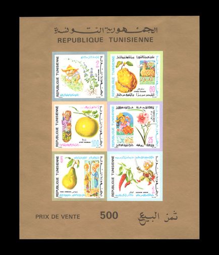 Tunisia 1971 Flowers Fruit and Folklore souvenir sheet imperf unmounted mint.