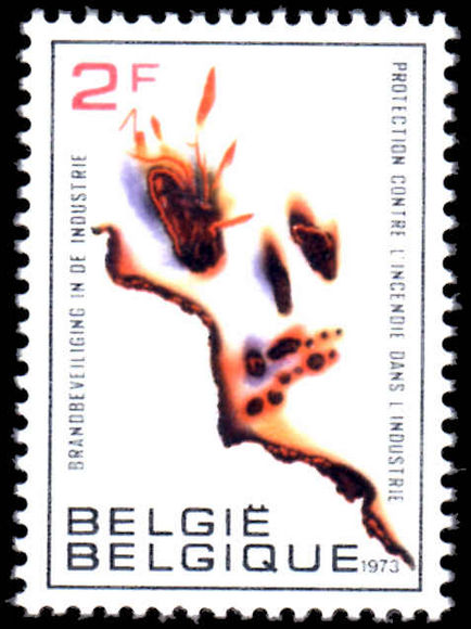 Belgium 1973 Industrial Buildings Fire Protection unmounted mint.