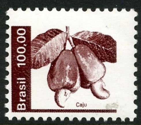 Brazil 1981 100cr cashew nut unmounted mint.