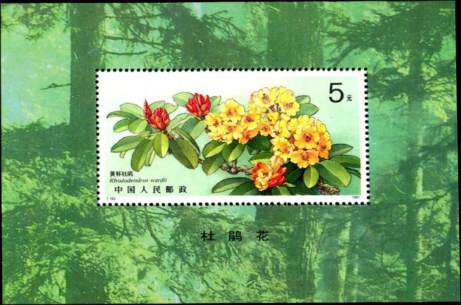 Peoples Republic of China 1991 Rhododendrons unmounted mint souvenir sheet.