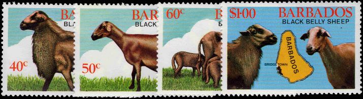 Barbados 1982 Black-bellied Sheep unmounted mint.