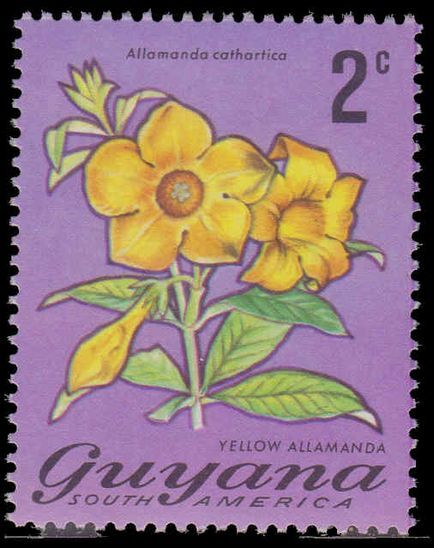 Guyana 1971-76 2c Yellow Allamanda unmounted mint.
