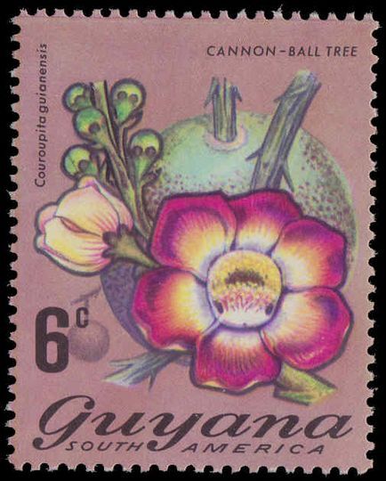 Guyana 1971-76 2c Cannon-ball tree unmounted mint.