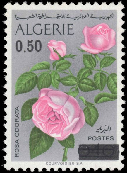 Algeria 1975 50c provisional unmounted mint.