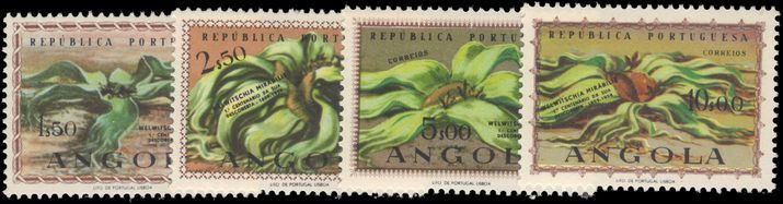 Angola 1959 Welwitschia unmounted mint.