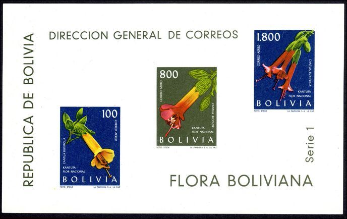Bolivia 1962 Flowers souvenir sheet unmounted mint.