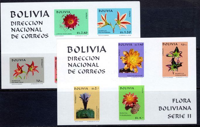 Bolivia 1971 Bolivian Flora souvenir sheet pair unmounted mint.