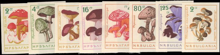 Bulgaria 1961 Fungi changed colours imperf unmounted mint.