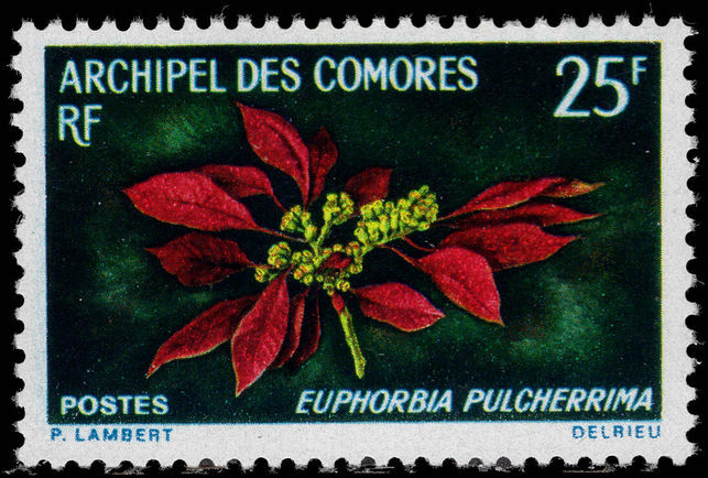 Comoro Islands 1970 Poinsettia unmounted mint.
