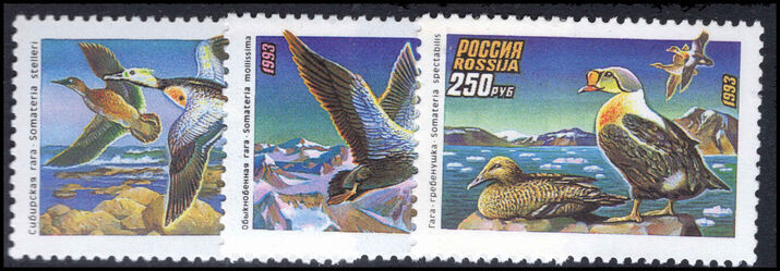 Russia 1993 Ducks unmounted mint.