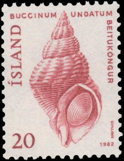 Iceland 1982 Common Northern Whelk unmounted mint.