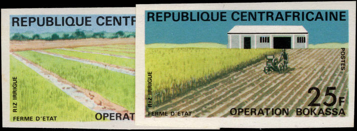 Central African Republic 1972 Bokassa Plan imperf unmounted mint.