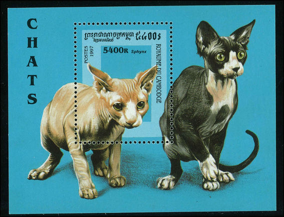 Cambodia 1997 Cats souvenir sheet unmounted mint.