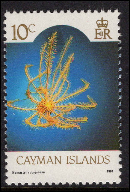 Cayman Islands 1990 10c Yellow Crinoid unmounted mint.