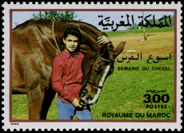 Morocco 1988 Horse Week unmounted mint.