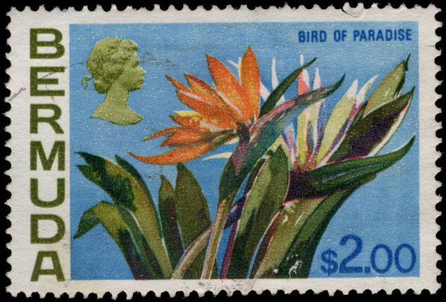 Bermuda 1970 $2 Bird of Paradise flower fine used.