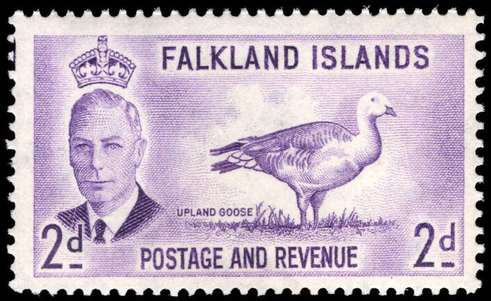 Falkland Islands 1952 2d Magellan Goose unmounted mint.