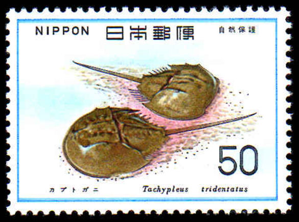 Japan 1977 Nature Horse Shoe Crab unmounted mint.