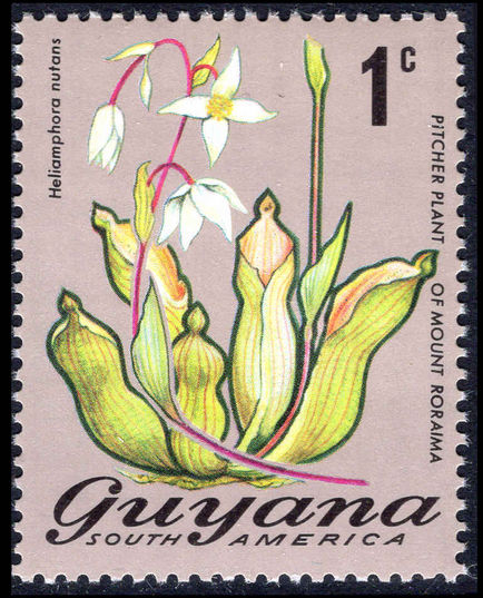 Guyana 1971-76 1c Pitcher Plant unmounted mint.
