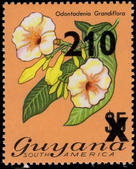 Guyana 1981 210c on $5 Odontadenia Grandiflora unmounted mint.