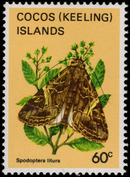 Cocos (Keeling) Islands 1983 60c Butterfly unmounted mint.