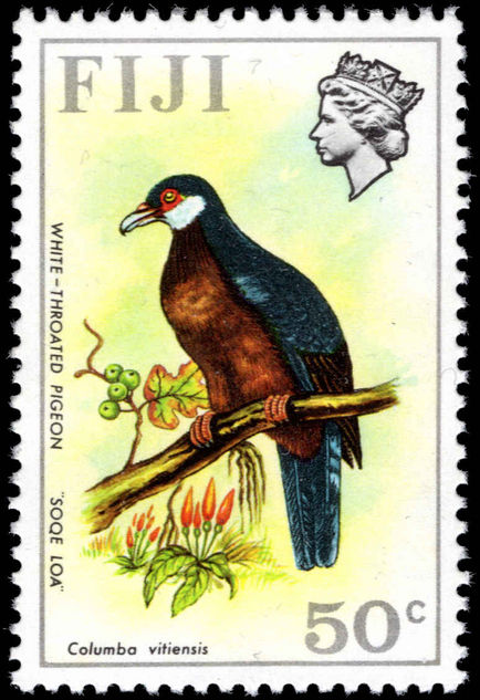 Fiji 1971-72 50c White-throated Pigeon unmounted mint.