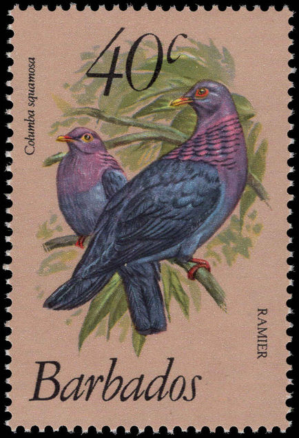 Barbados 1979 40c Red-necked pigeon unmounted mint.