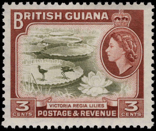 British Guiana 1954-63 3c Water Lilies unmounted mint.