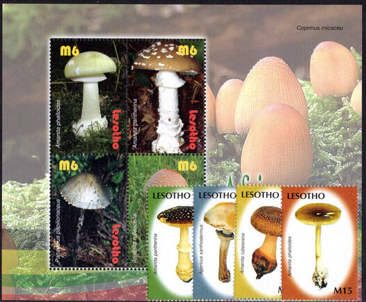 Lesotho 2007 African Mushrooms unmounted mint.