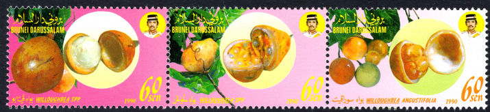 Brunei 1990 Local Fruit (4th series) (folded) unmounted mint.