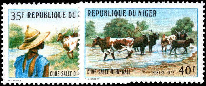 Niger 1972 Medicinal Salt-ponds at In-Gall unmounted mint.