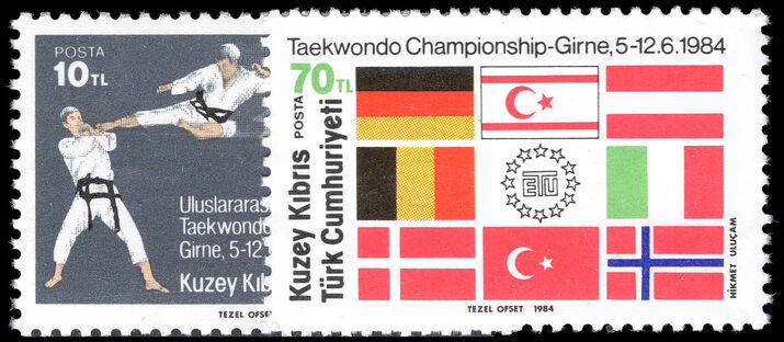 Turkish Cyprus 1984 Int Taekwondo Championship unmounted mint.