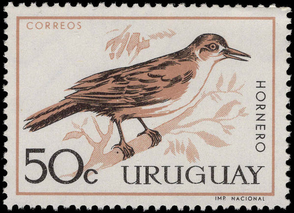 Uruguay 1962 50c Rufous Hornero unmounted mint.