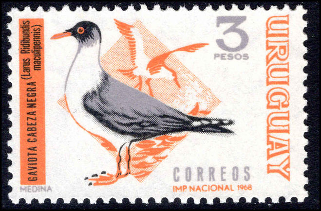 Uruguay 1968 3p Brown-hooded Gull unmounted mint.