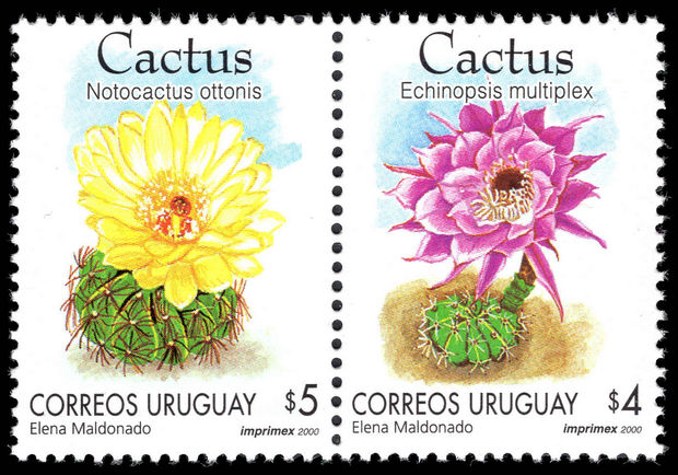 Uruguay 2000 Cacti unmounted mint.