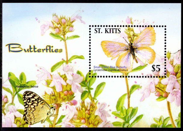 St Kitts 2005 $5 Butterflies souvenir sheet unmounted mint.