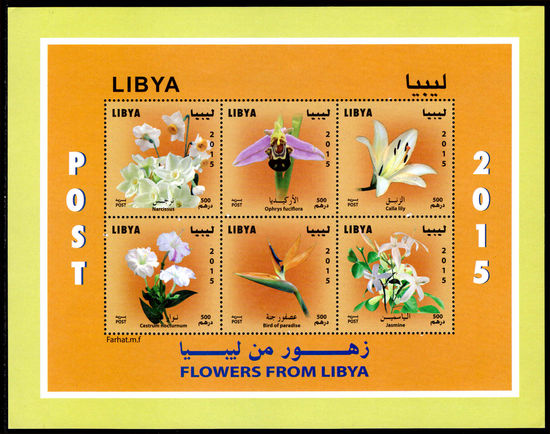 Libya 2015 Flowers sheetlet unmounted mint.