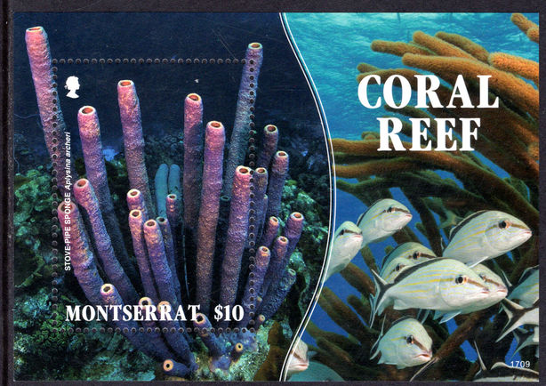 Montserrat 2017 Coral souvenir sheet unmounted mint.