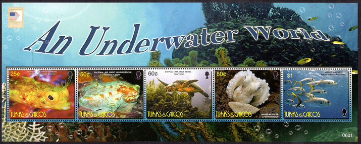Turks & Caicos Islands 2006 Underwater Photography souvenir sheet unmounted mint.