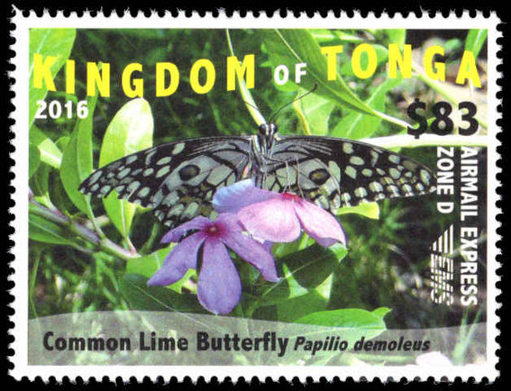 Tonga 2016 $83 Airmail Express Butterfly unmounted mint.