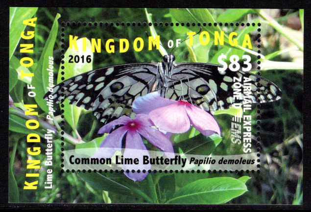 Tonga 2016 $83 Airmail Express Butterfly souvenir sheet unmounted mint.