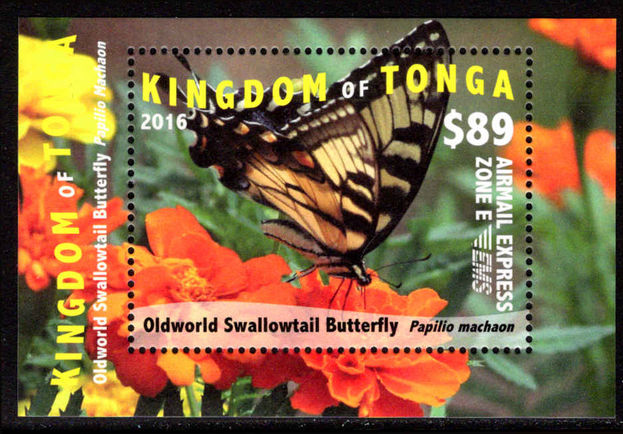 Tonga 2016 $89 Airmail Express Butterfly souvenir sheet unmounted mint.