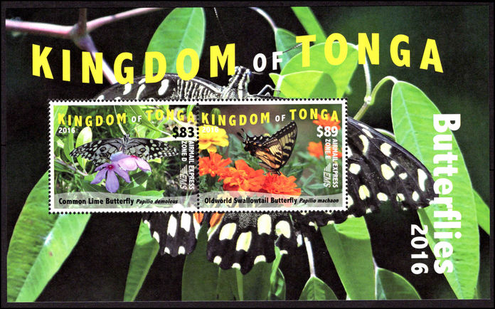 Tonga 2016 $83 & $89 Airmail Express Butterfly souvenir sheet unmounted mint.