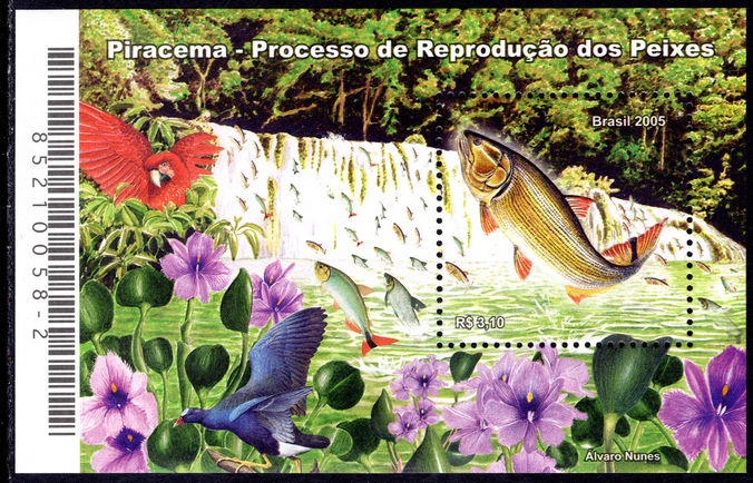 Brazil 2005 Piracema Fish souvenir sheet unmounted mint.