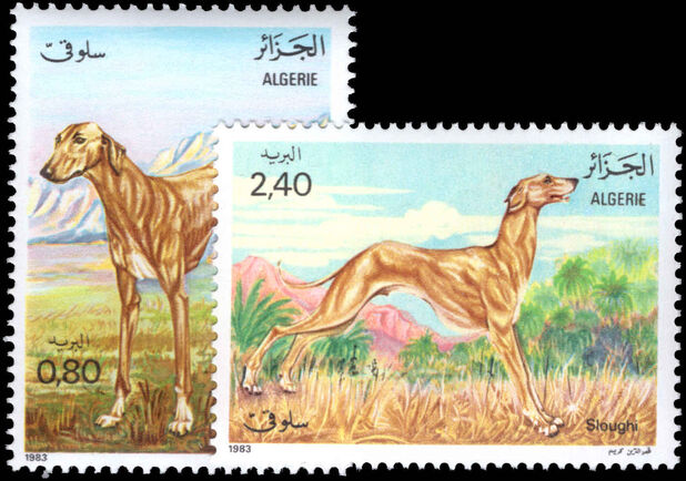 Algeria 1983 Sloughi unmounted mint.