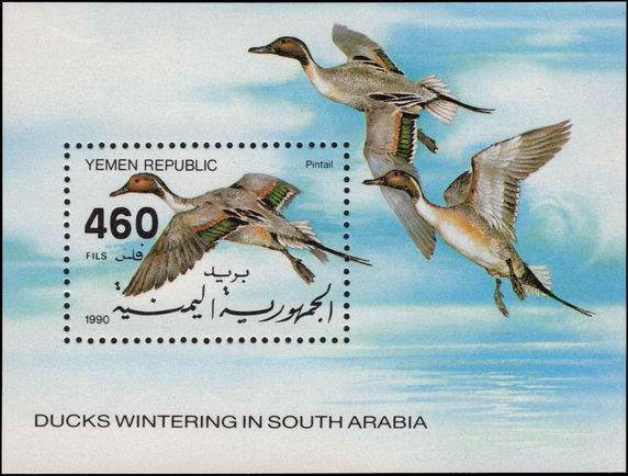 Yemen 1990 Ducks souvenir sheet unmounted mint.