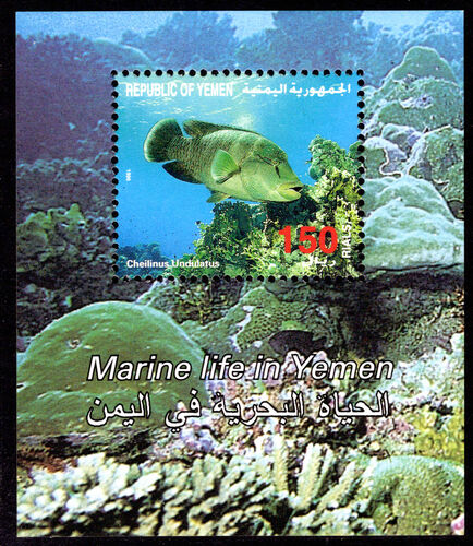 Yemen 1996 Fish souvenir sheet unmounted mint.